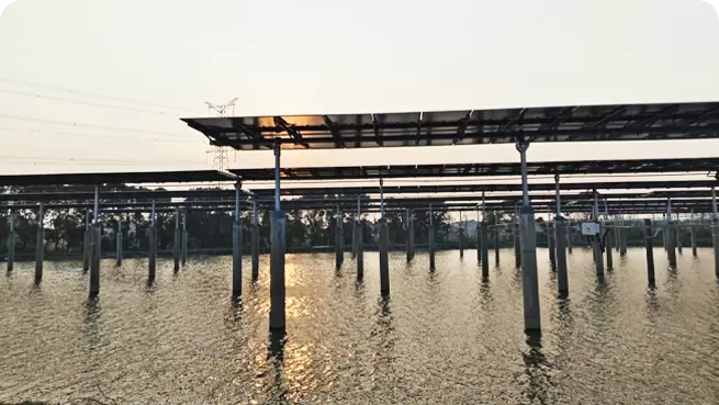 Agri-Photovoltaik (Fischerei-Solar-Komplementarität)